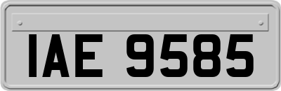IAE9585