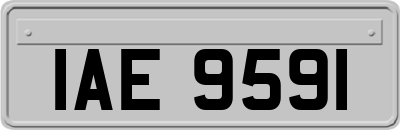IAE9591