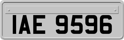 IAE9596