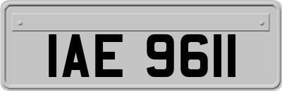 IAE9611