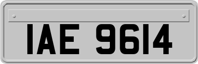 IAE9614