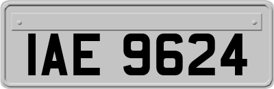 IAE9624
