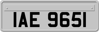 IAE9651