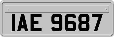 IAE9687