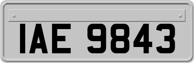 IAE9843