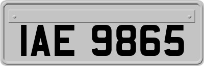 IAE9865