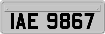 IAE9867