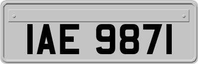 IAE9871