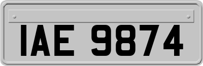 IAE9874