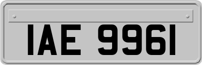 IAE9961