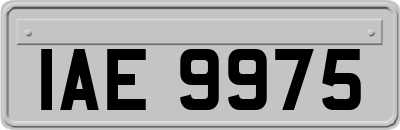 IAE9975