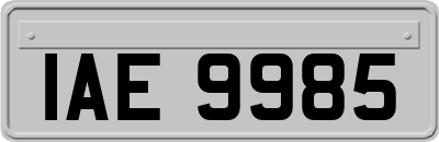 IAE9985