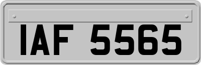 IAF5565