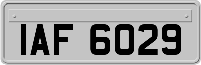 IAF6029