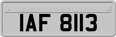IAF8113