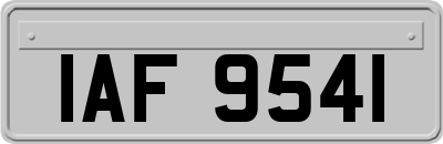 IAF9541
