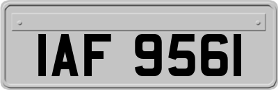 IAF9561