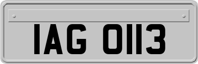 IAG0113