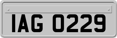 IAG0229