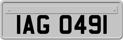 IAG0491