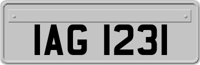 IAG1231