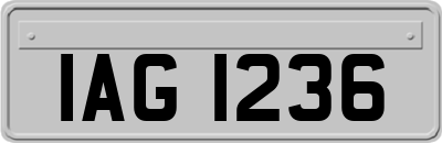 IAG1236