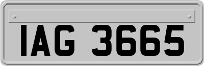 IAG3665