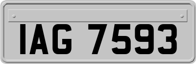 IAG7593