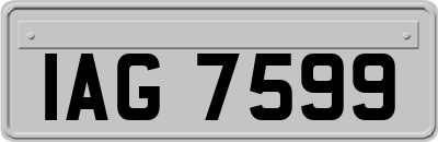 IAG7599