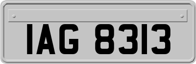 IAG8313