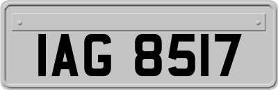 IAG8517
