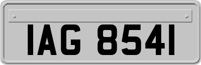 IAG8541