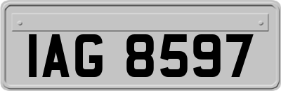 IAG8597