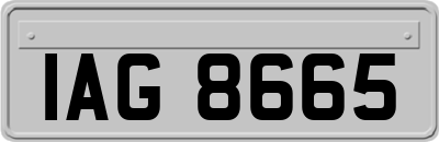 IAG8665