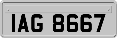 IAG8667