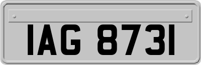IAG8731