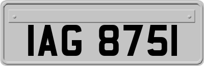 IAG8751