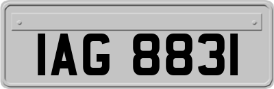 IAG8831