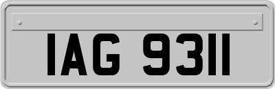 IAG9311