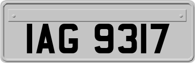 IAG9317