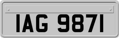 IAG9871