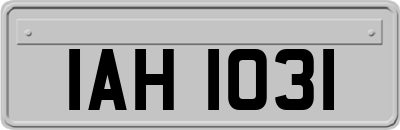 IAH1031