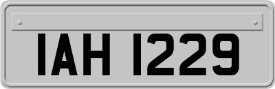 IAH1229