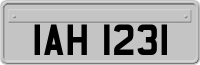 IAH1231
