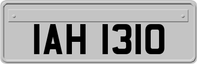 IAH1310