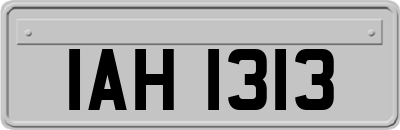 IAH1313