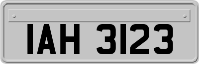 IAH3123