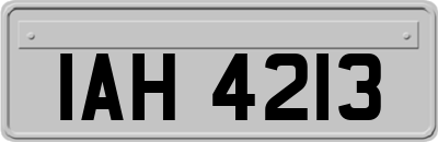 IAH4213