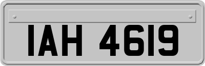 IAH4619