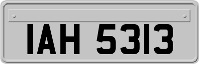 IAH5313